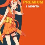 Crunchyroll 1 Month Mega Fan Subscription ACCOUNT