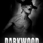 Darkwood Steam CD Key